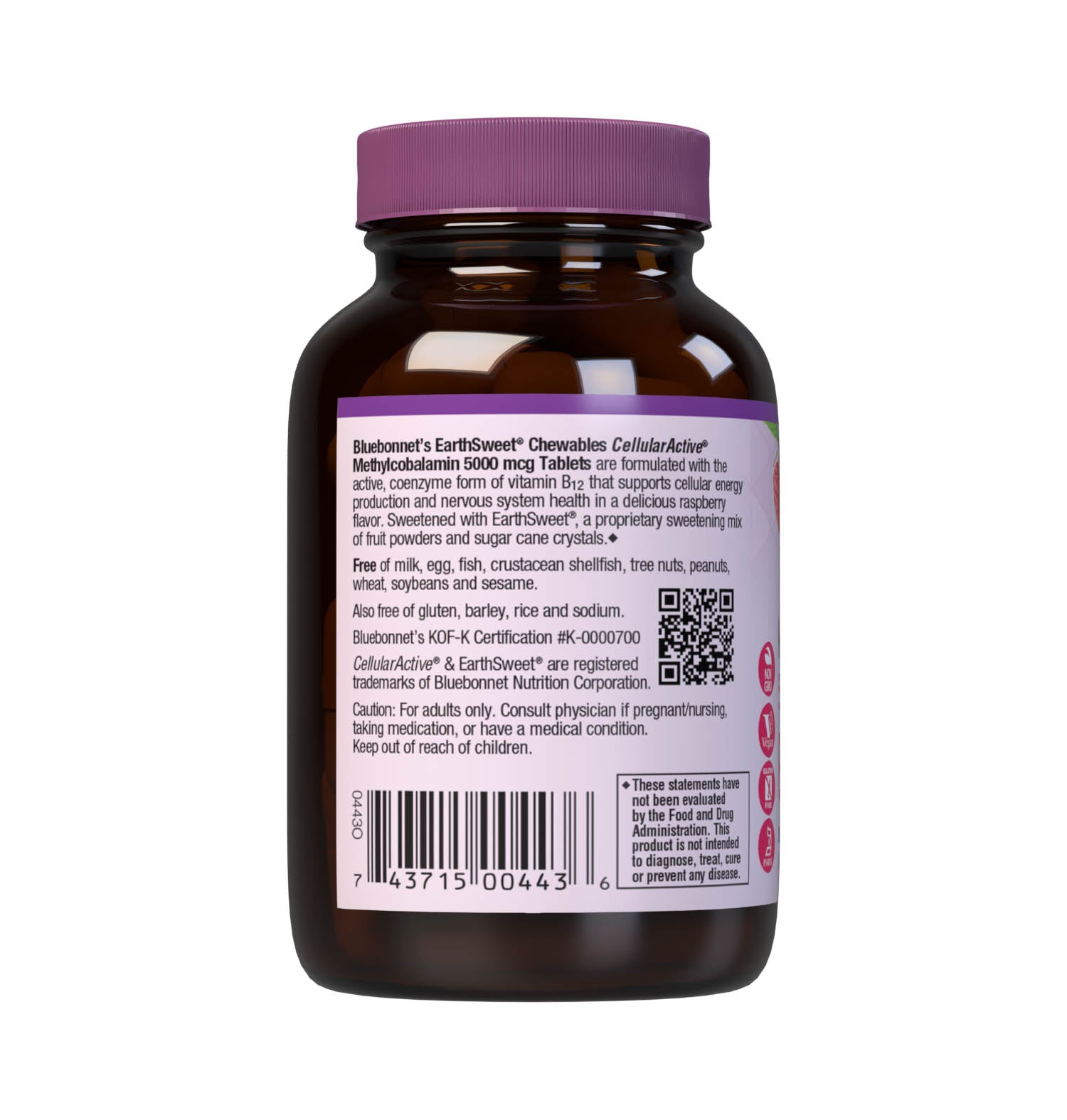 Bluebonnet’s EarthSweet Chewables CellularActive Methylcobalamin 5000 mcg Tablets are formulated with the active, coenzyme form of vitamin B12 that supports cellular energy production and nervous system health in a delicious raspberry flavor. Sweetened with EarthSweet a proprietary sweetening mix of juice powders and sugar cane crystals. 60 chewable tablets bottle. Description panel. #size_60 count