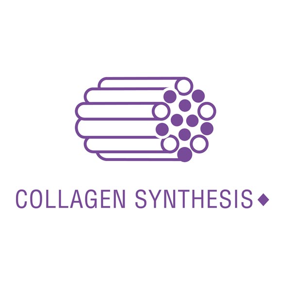 this product may support collagen synthesis