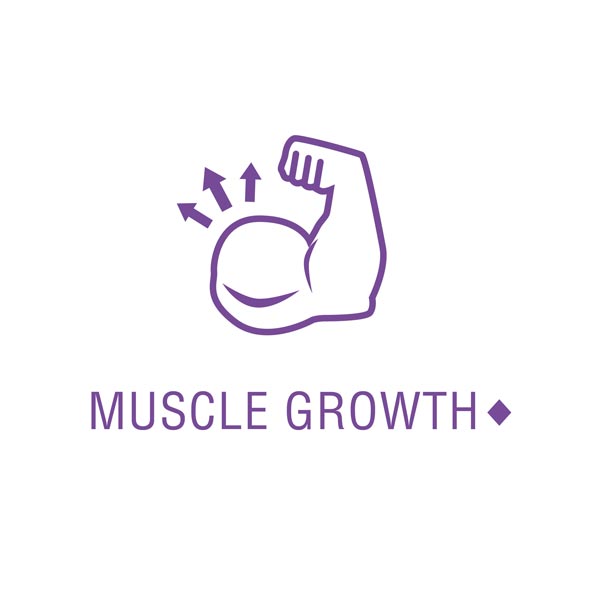 this product may support muscle growth