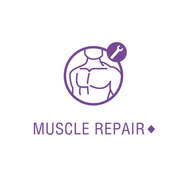 this product may support muscle repair