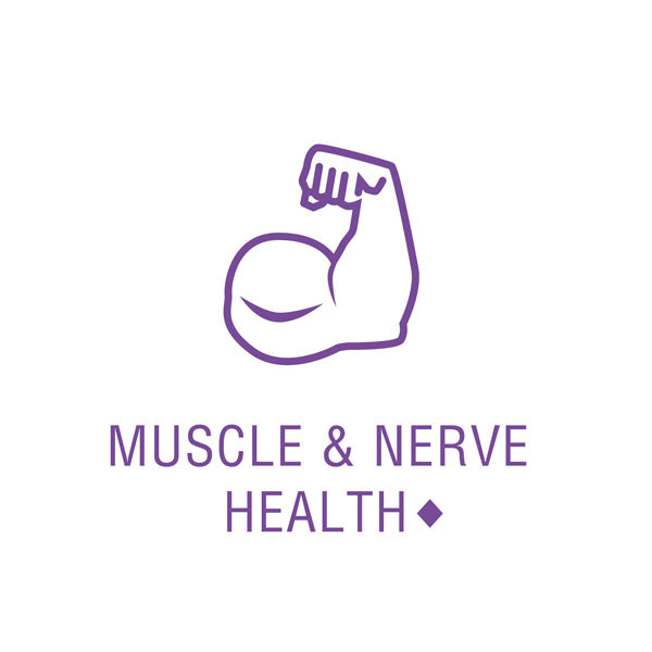 the product may support muscle and nerve health