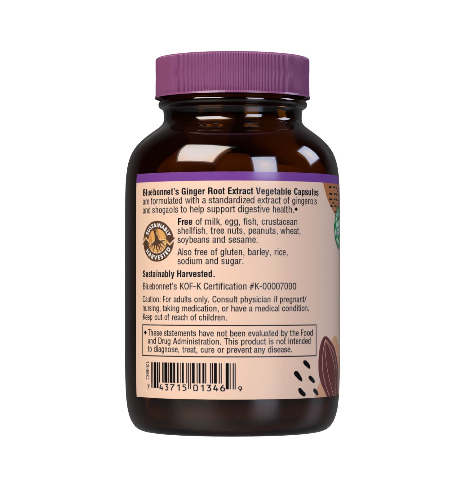 Bluebonnet’s Ginger Root Extract 60 Vegetable Capsules contain a standardized extract of gingerols and shogaols, the most researched active constituents found in ginger. A clean and gentle water-based extraction method is employed to capture and preserve ginger’s most valuable components. Description panel. #size_60 count