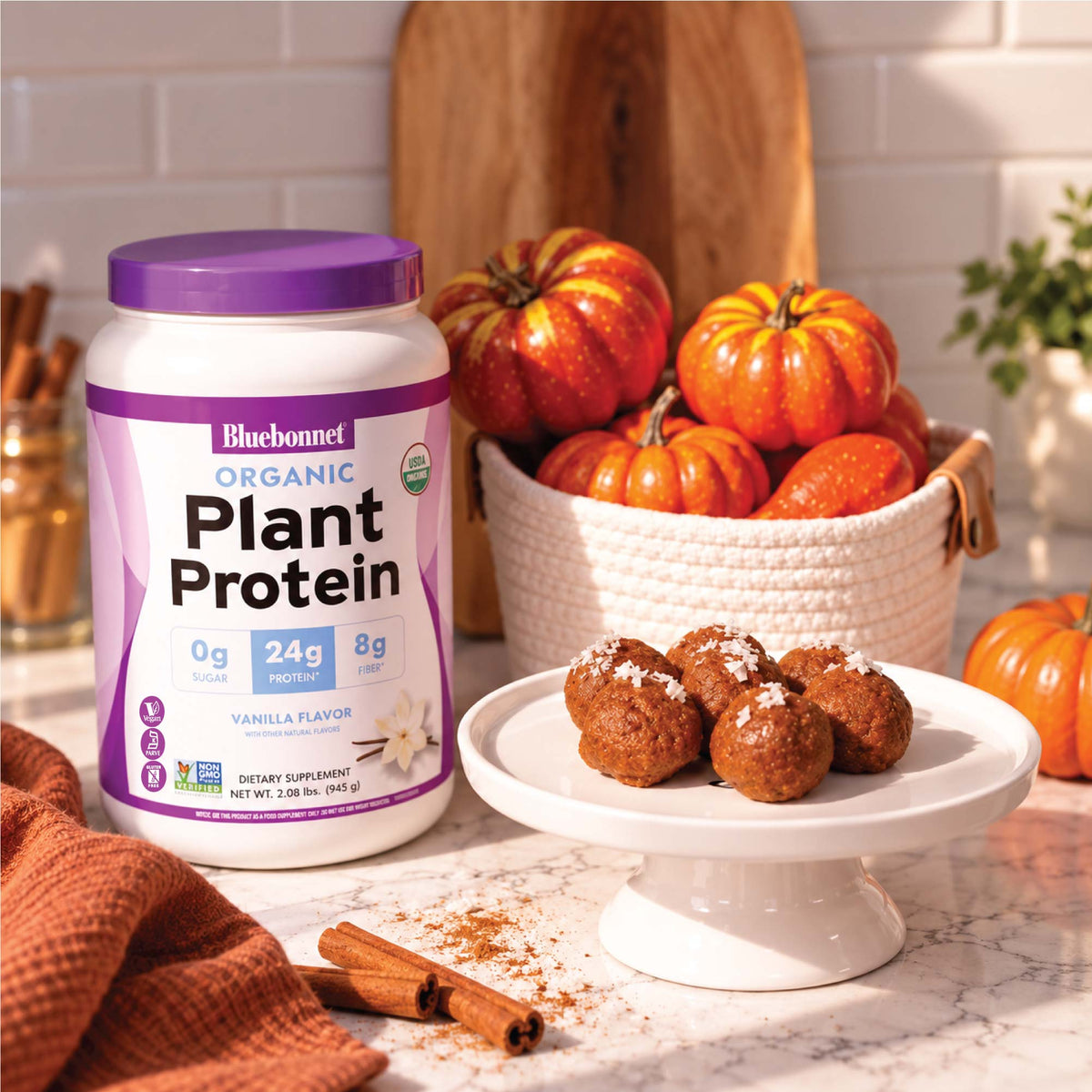 Pumpkin Spice Plant Protein Bites