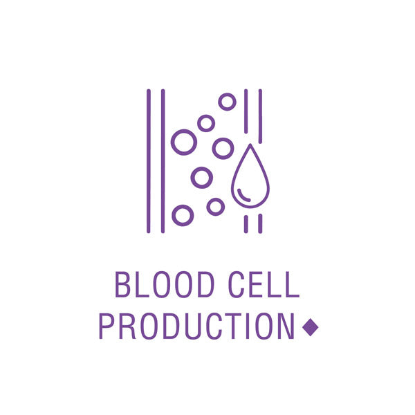 the product may support blood cell production