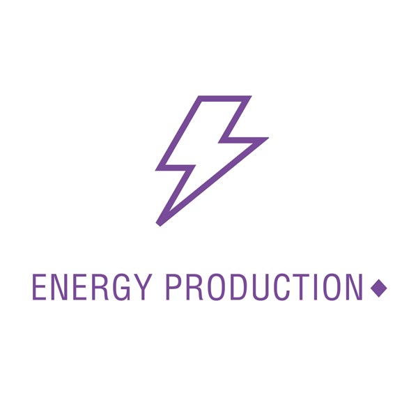 this product may support energy production