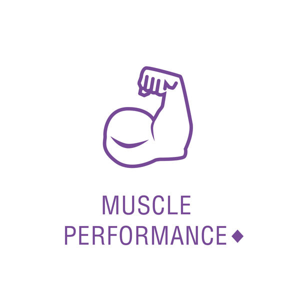 the product may support muscle performance