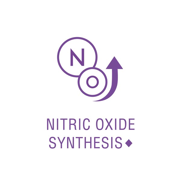 this product may support nitric oxide synthesis