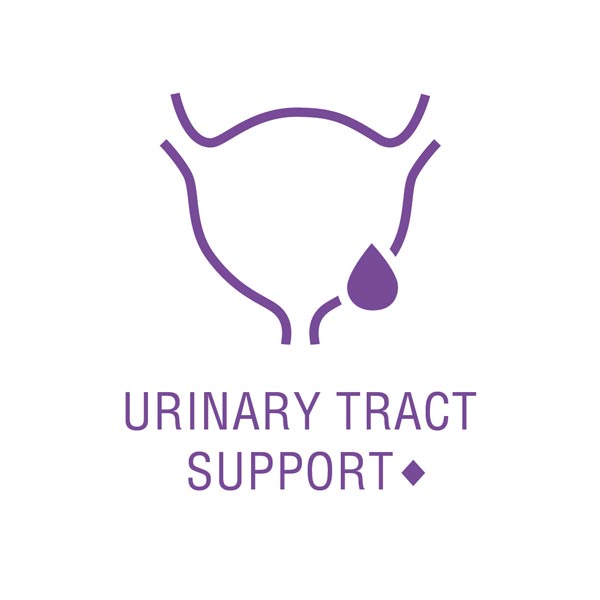 urinary tract support