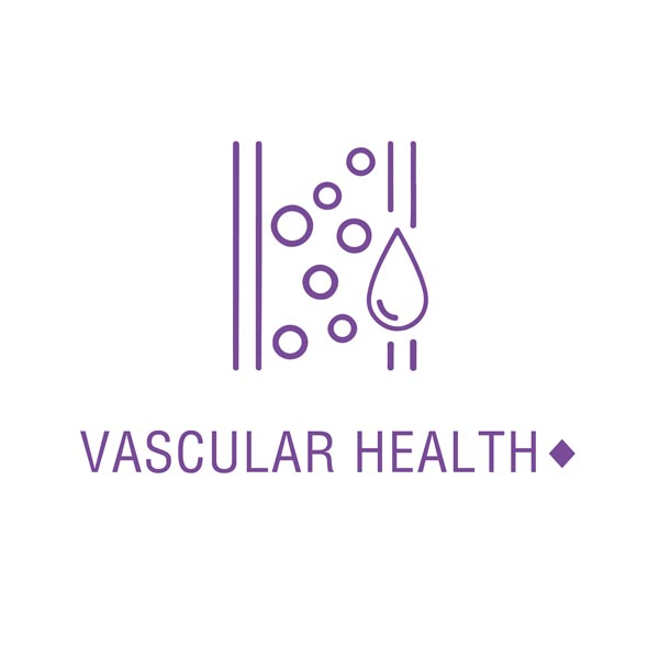 this product may support vascular health