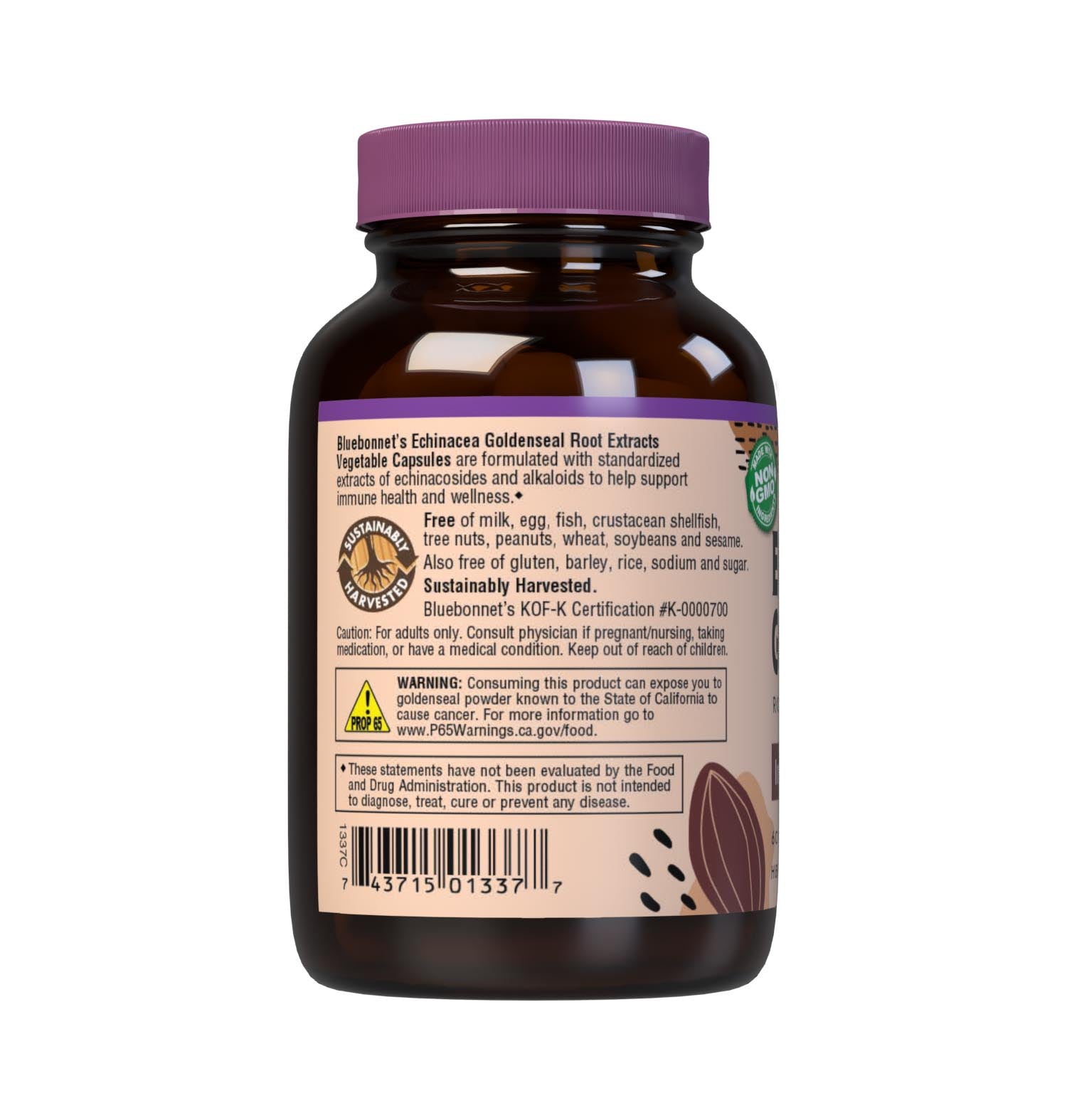 Bluebonnet’s Echinacea Goldenseal Root Extract 60 Vegetable Capsules contain a standardized extract of echinacosides and alkaloids, the most researched active constituents found in echinacea and goldenseal, respectively. A clean and gentle water-based extraction method is employed to capture and preserve both echinacea and goldenseal’s most valuable components. Description panel. #size_60 count