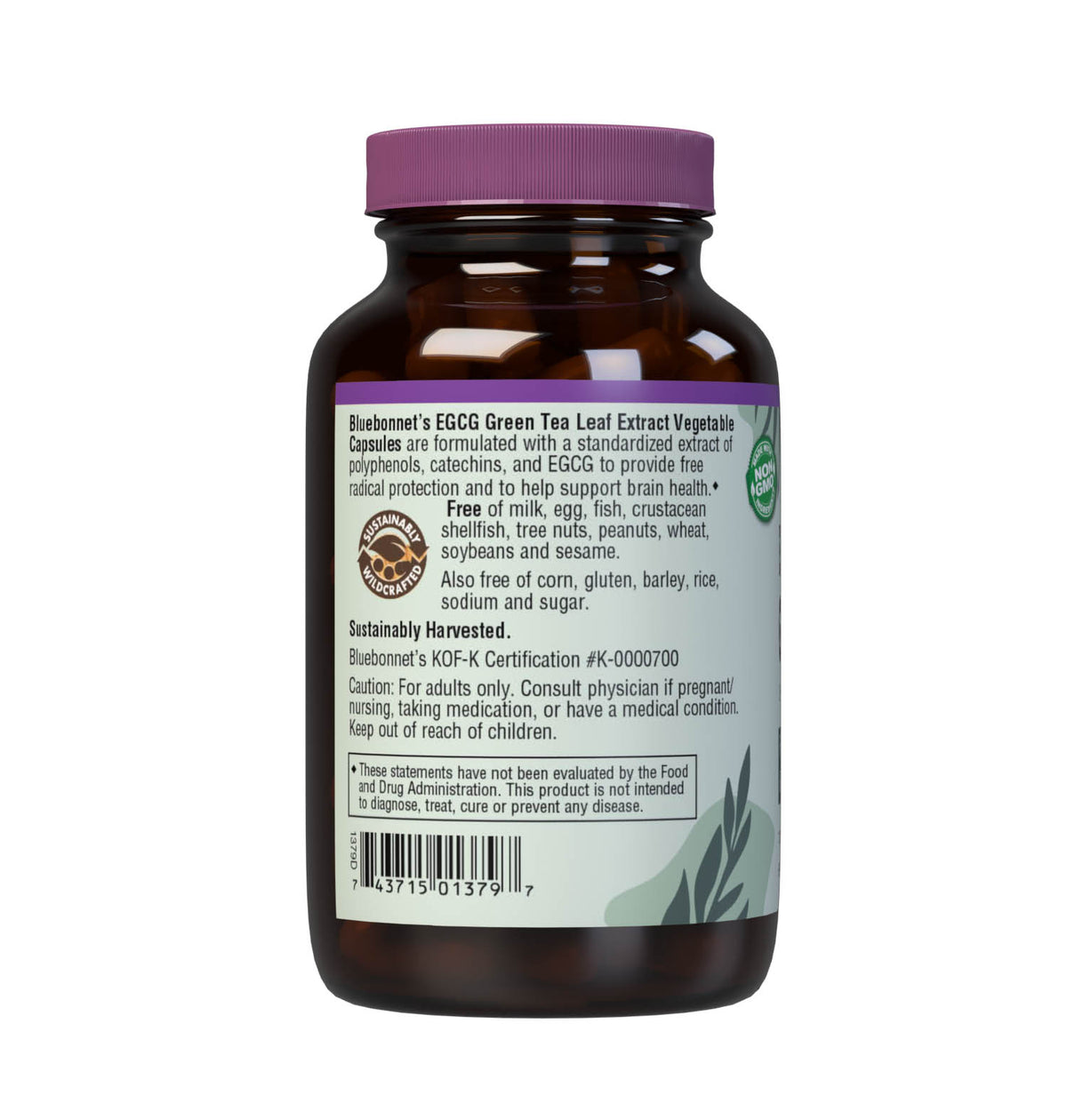 EGCG GREEN TEA LEAF EXTRACT